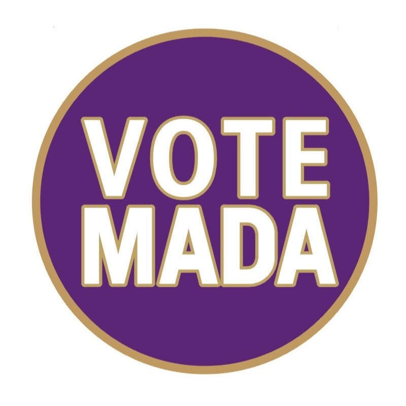 Make America A Democracy Again Pin